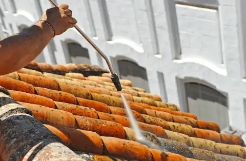 Nettoyage de toitures - Conca